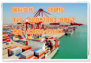 深圳鹽田到科特卡海運靚價