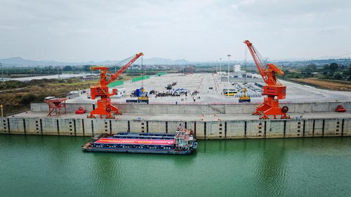 廣西百色 粵港澳大灣區(qū)集裝箱班輪航線開通