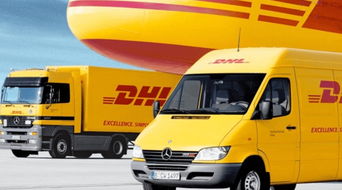 國(guó)際物流行業(yè)標(biāo)桿企業(yè)dhl選擇mchr